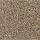 Horizon Carpet: SP50 (F) 06